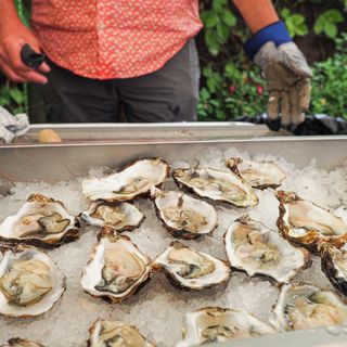 Oysters at the Green Dragon's annual oyster bar