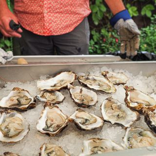 Oysters at the Green Dragon's annual oyster bar